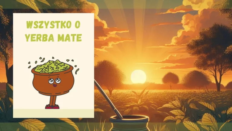 Wszystko o yerba mate